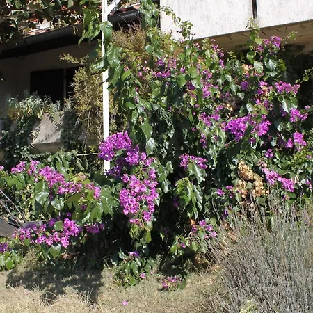 דירה By The Sea - 2255 *