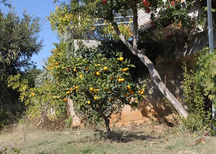 By The Sea - 2255 * מדולין